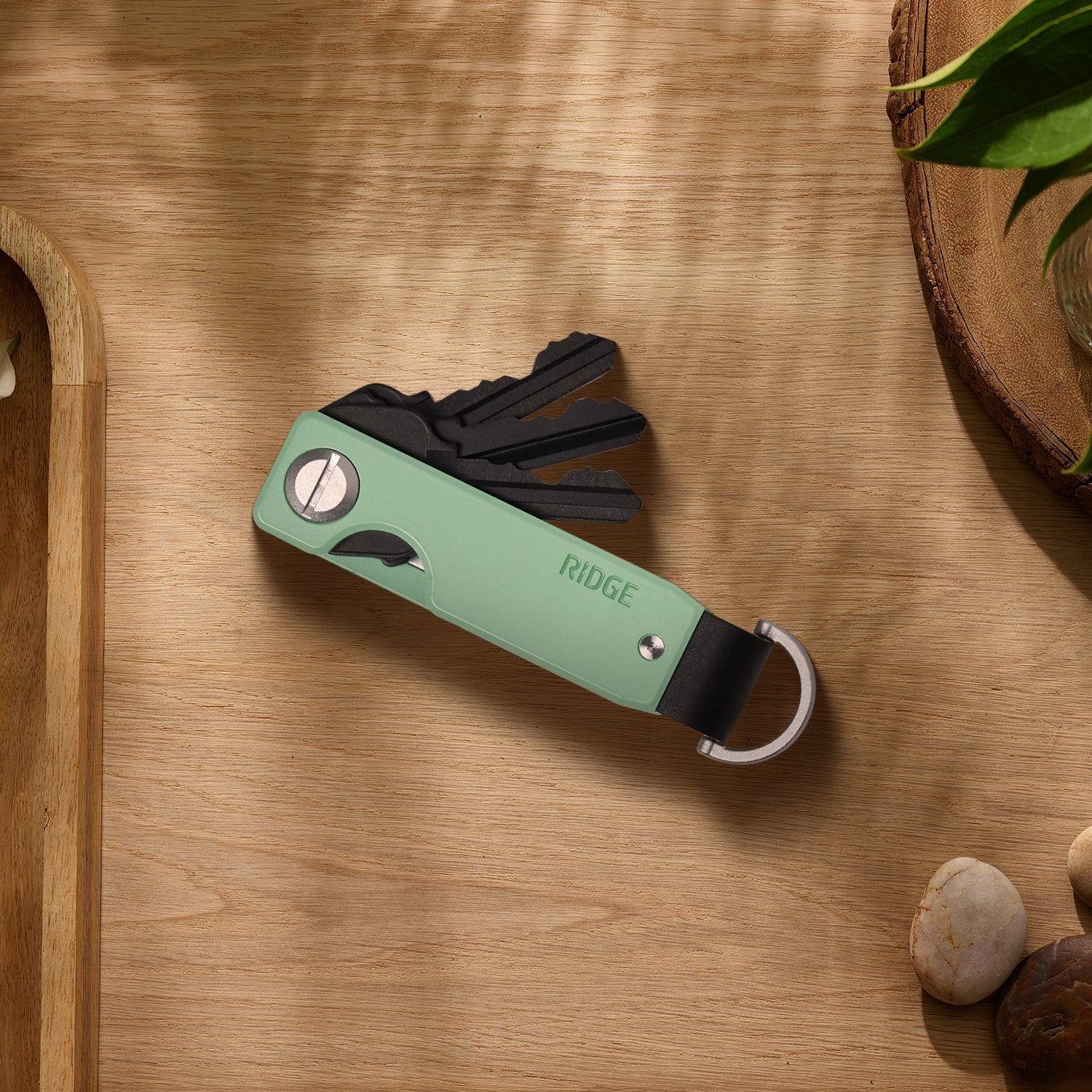 Ridge KeyCase - Eucalyptus