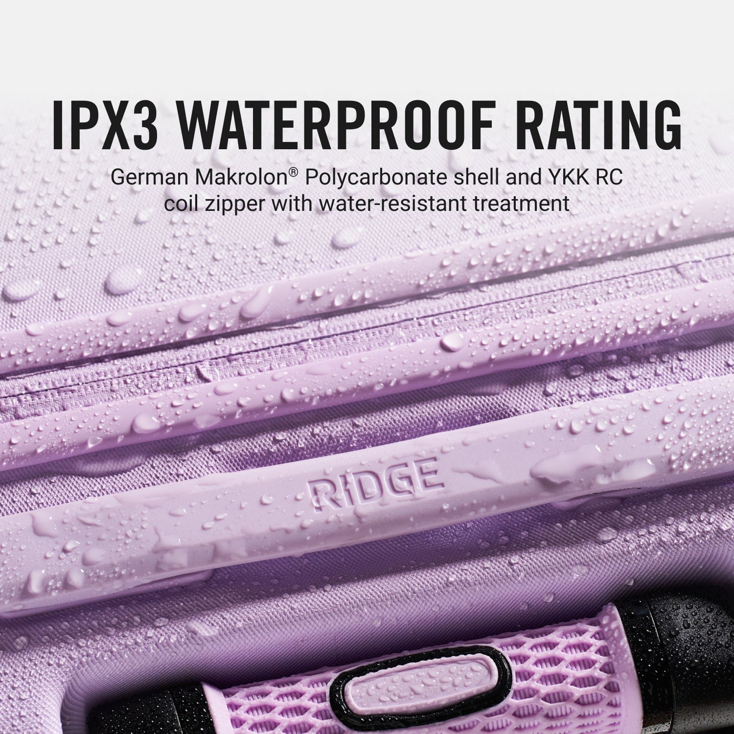 Ridge Check-In - Lavender