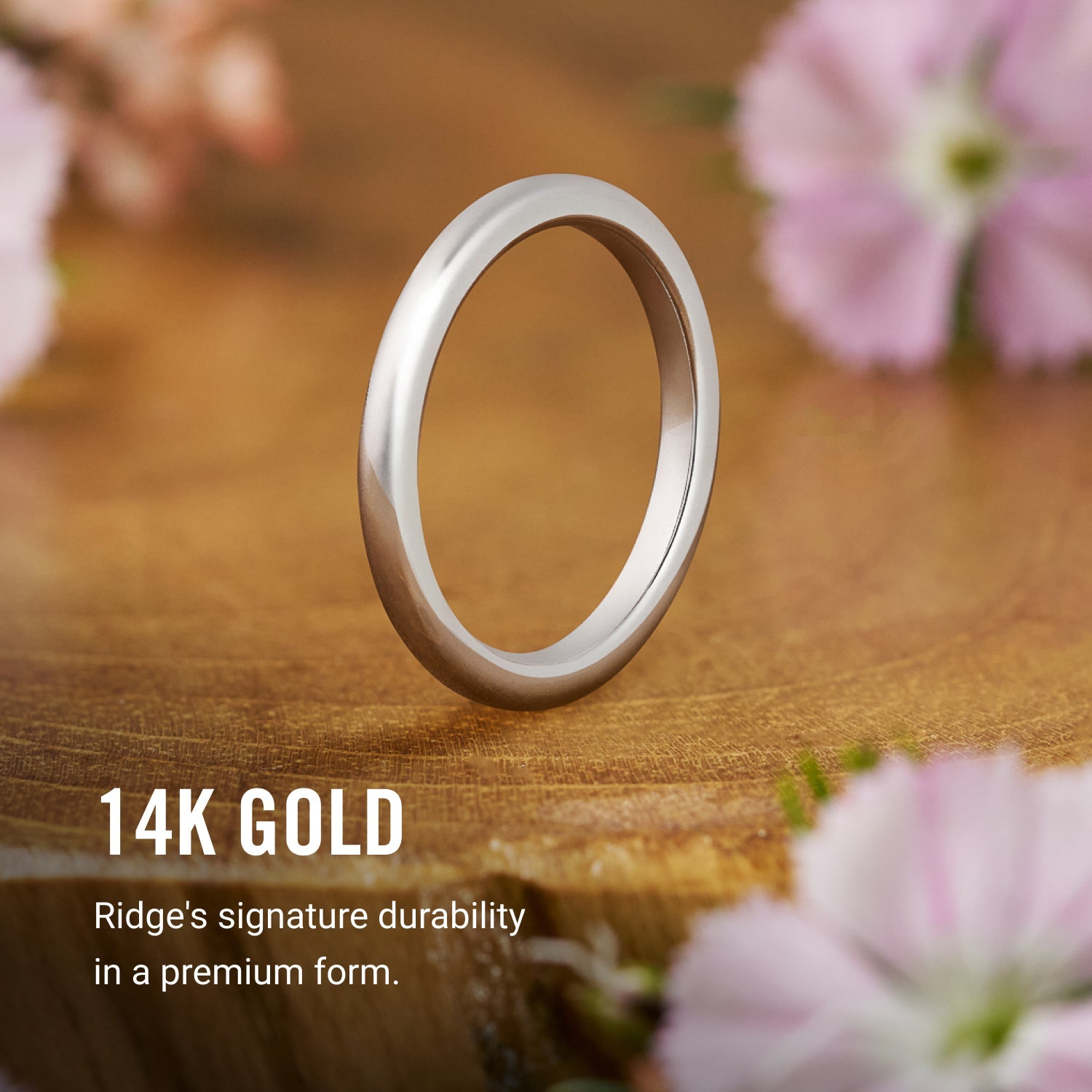 Ridge 2mm Rounded Ring Set - 14K White Gold